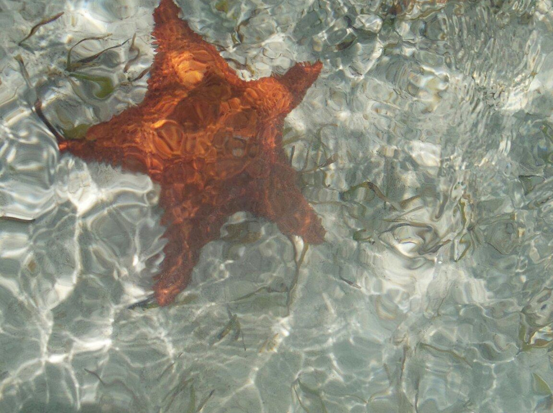 Fowl Cays National Park-Great Abaco Island必去景点