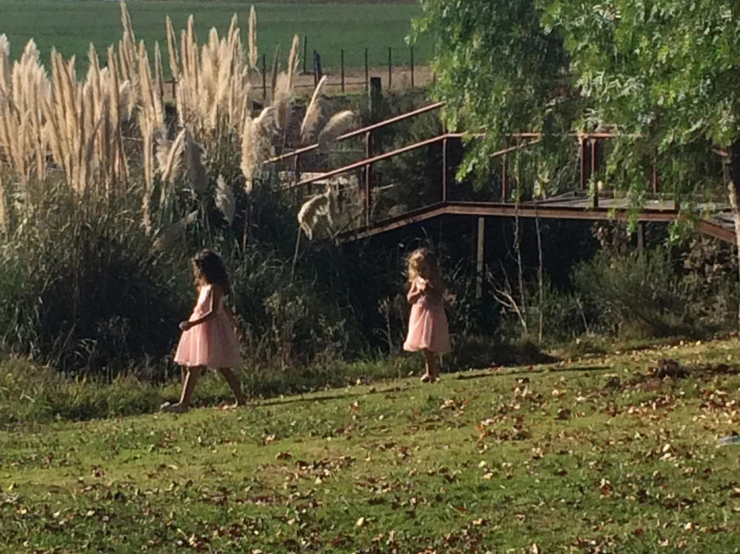 Estancia Renacimiento - Day Tour-Canelones必去景点