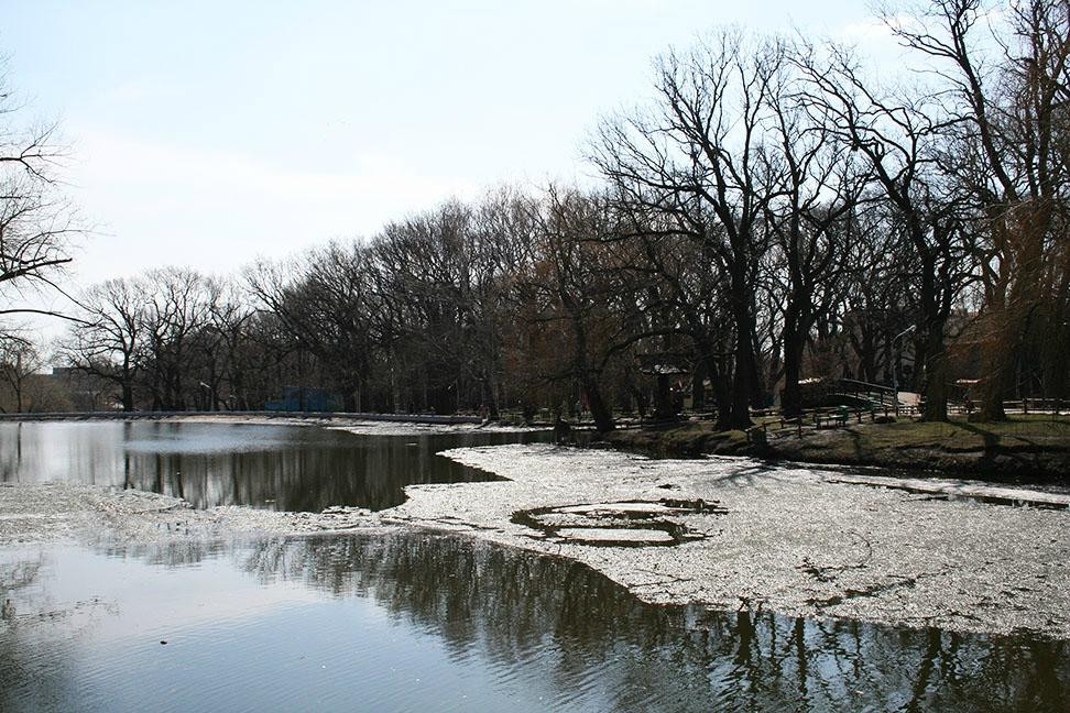 Lukomorye City Park-萨拉托夫必去景点
