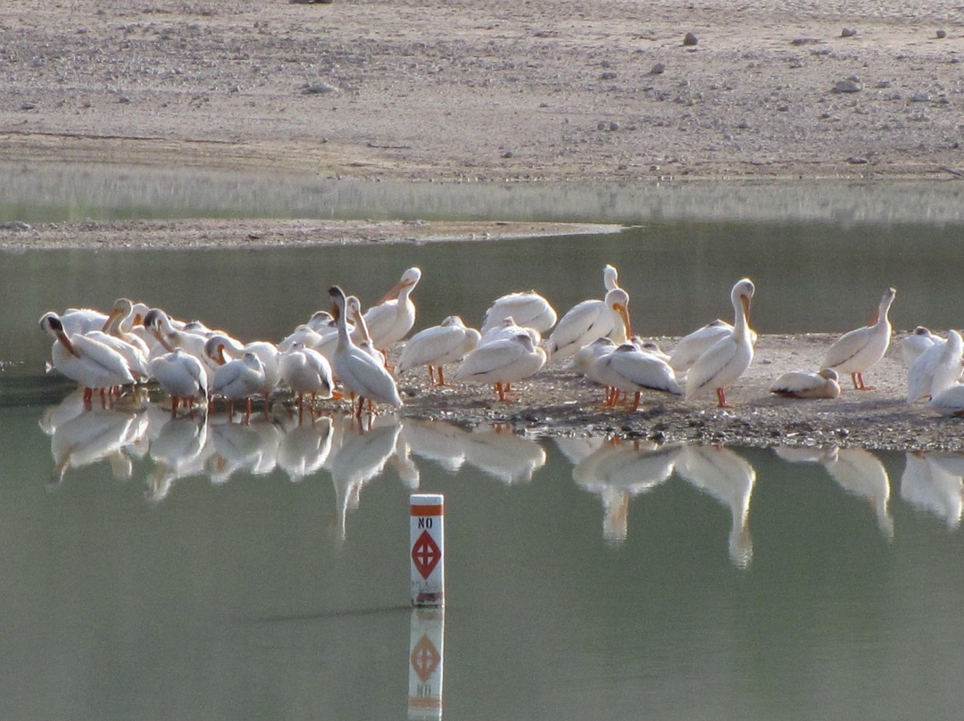 Rye Patch State Recreation Area-Lovelock必去景点
