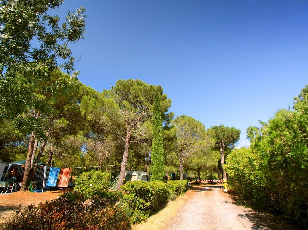 Camping Le Malolya