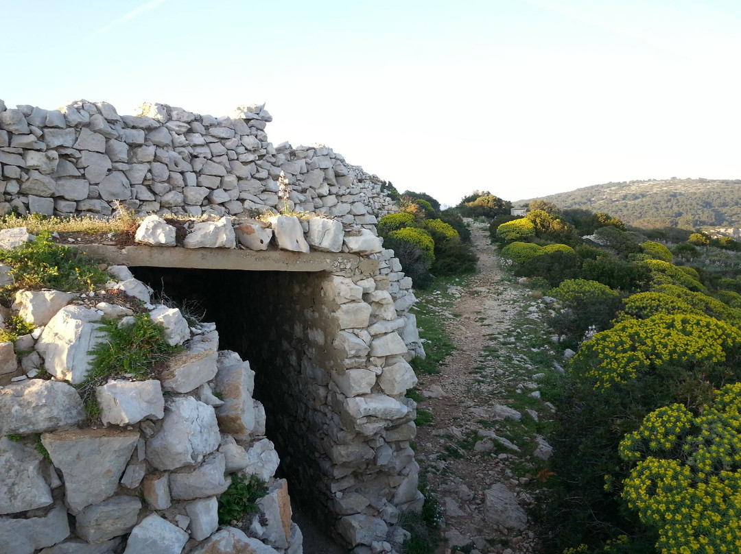 Exploralghero-阿尔盖罗必去景点