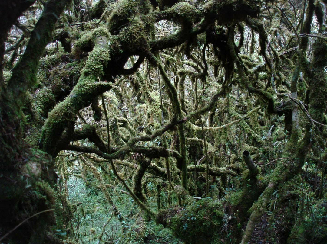 Parque Nacional Yacuri-Loja必去景点