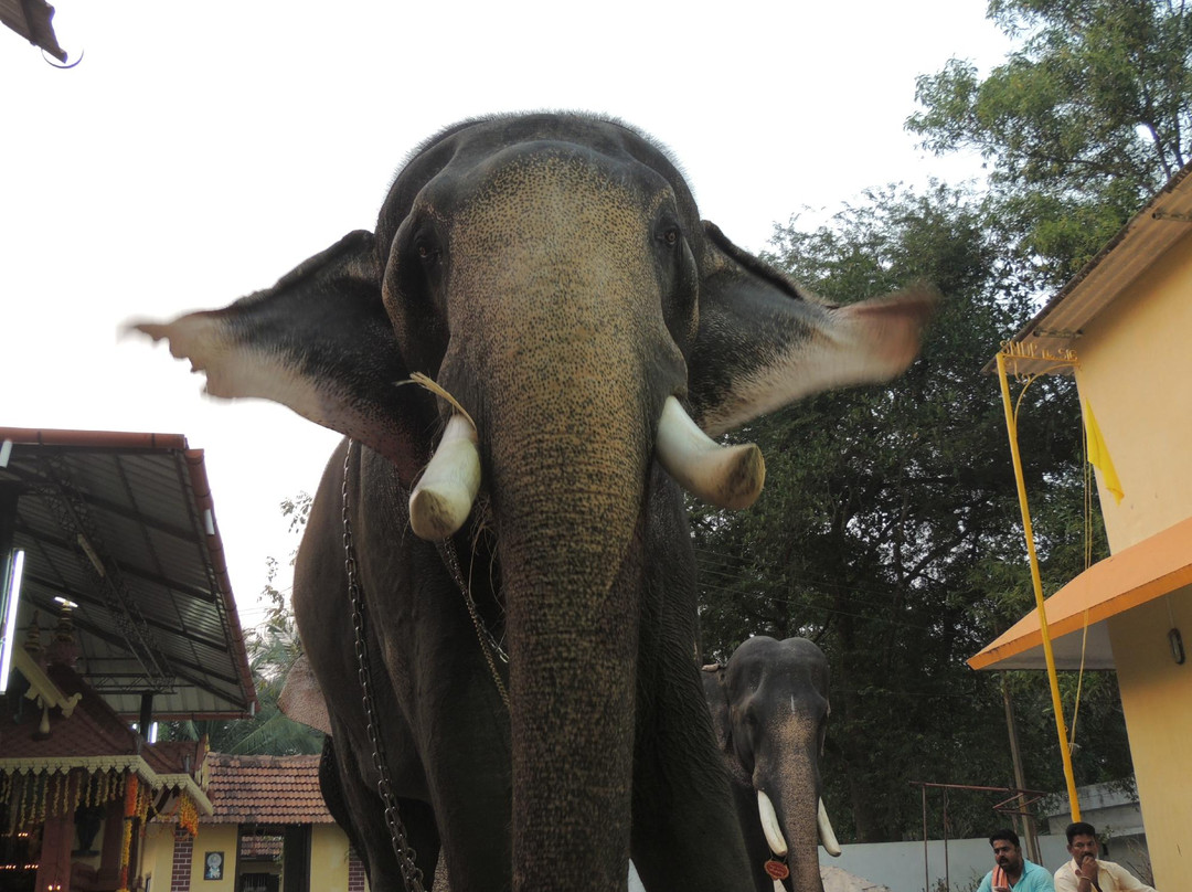 Velorvattom Mahadeva Temple-Mararikulam必去景点