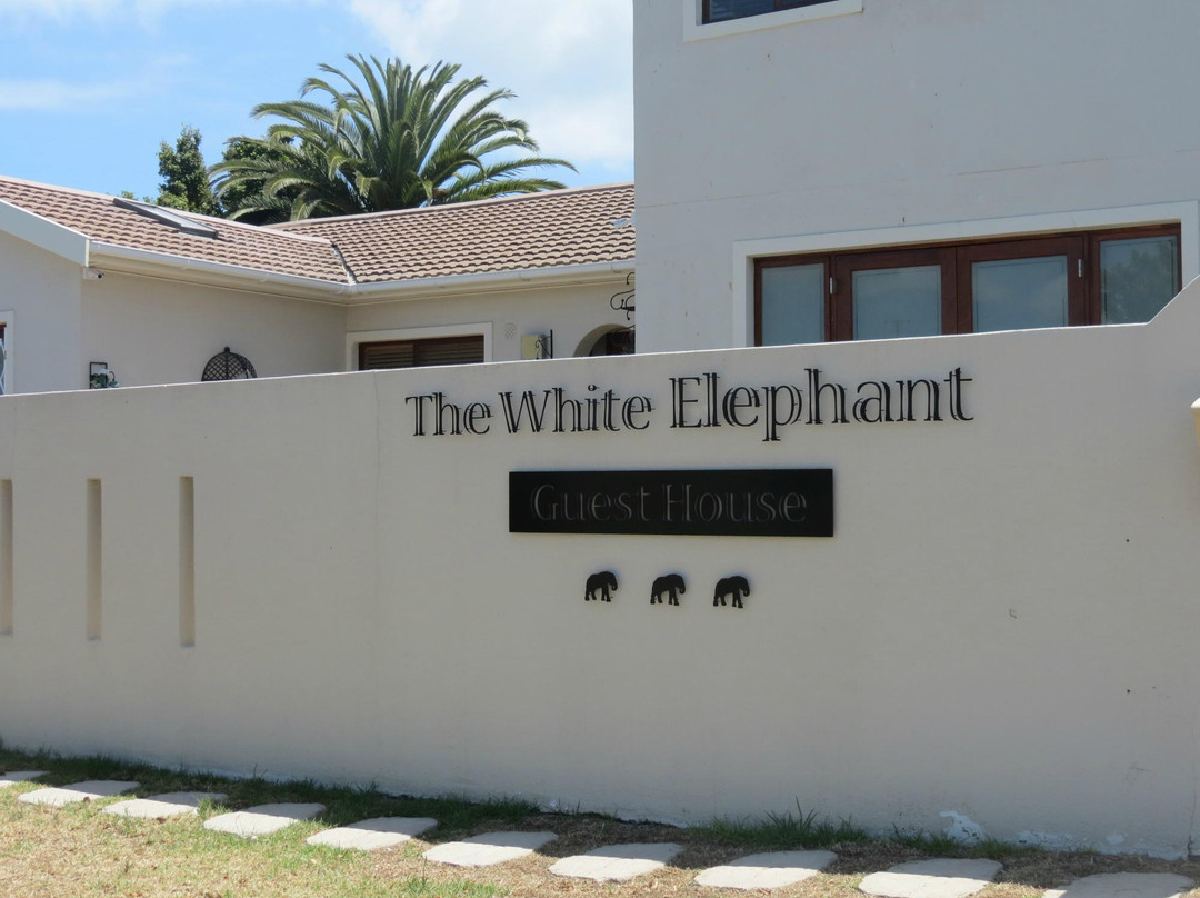 The White Elephant Guesthouse主图