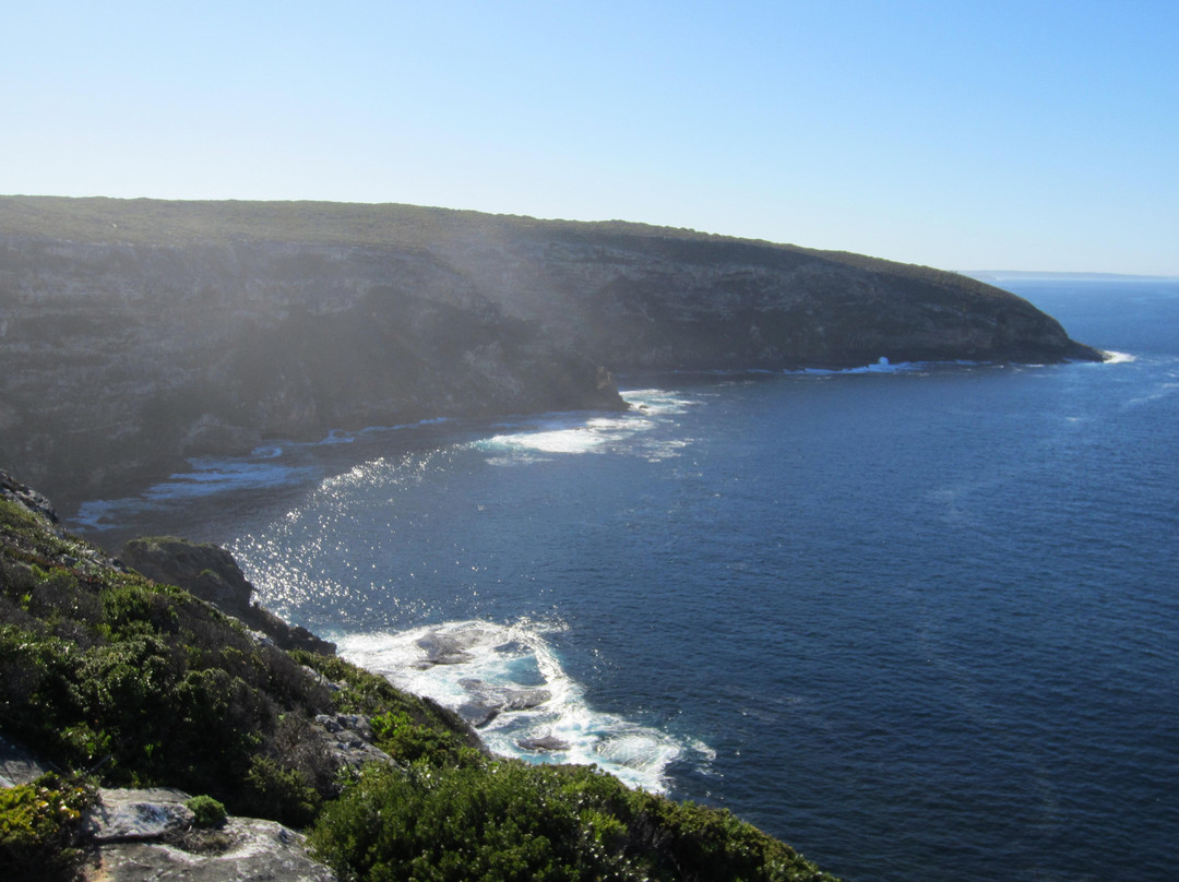 Admirals Arch-袋鼠岛必去景点