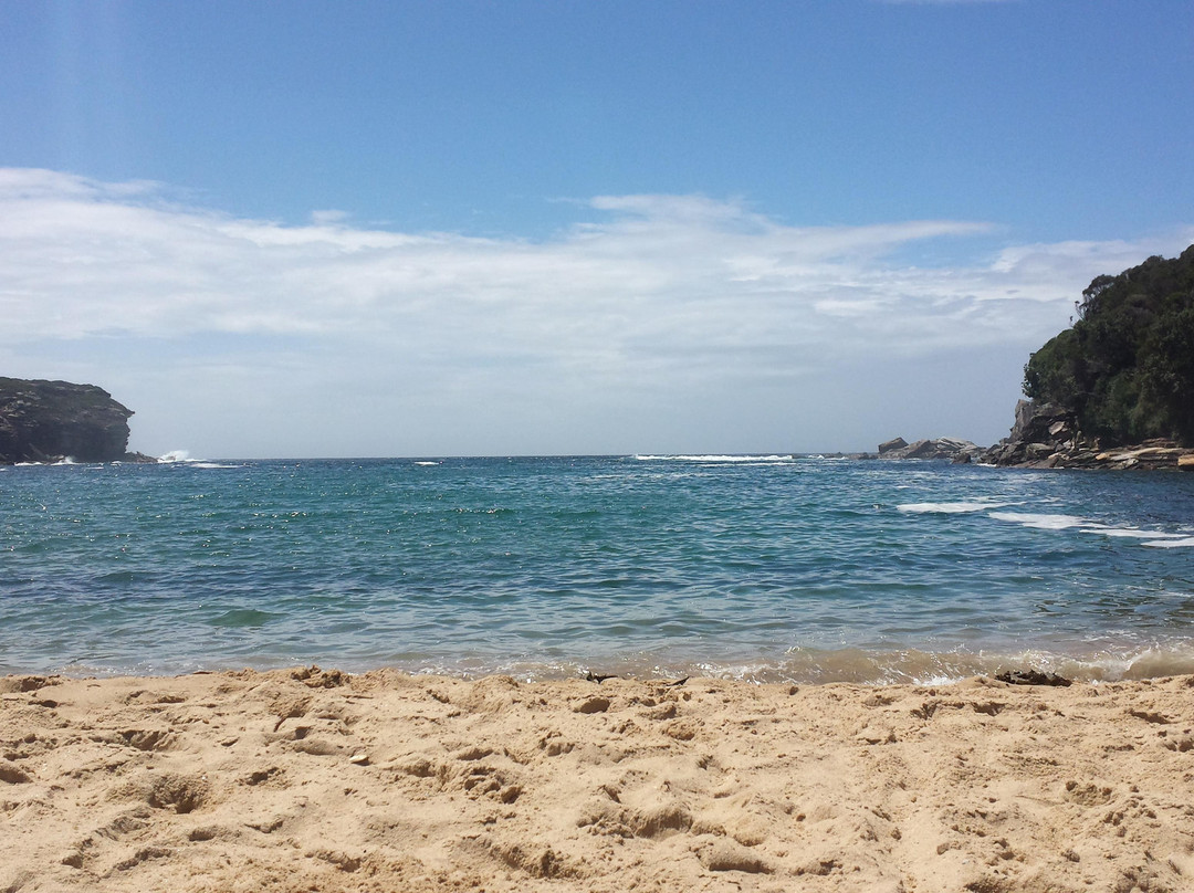 Wattamolla Beach-卧龙岗市必去景点