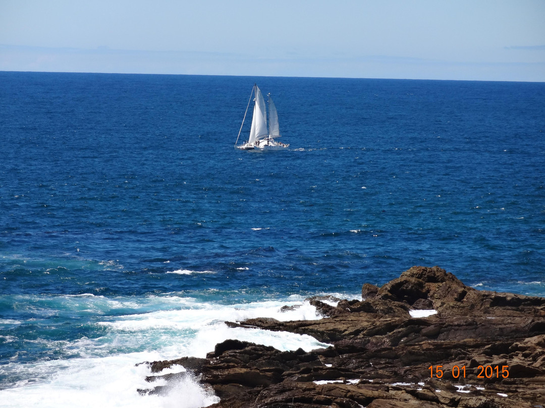 Pelican Expeditions-Bermagui必去景点