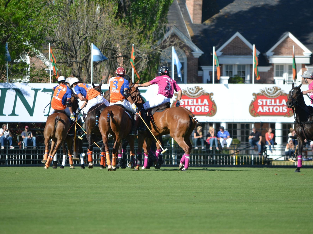 Polo in Buenos Aires景点图片