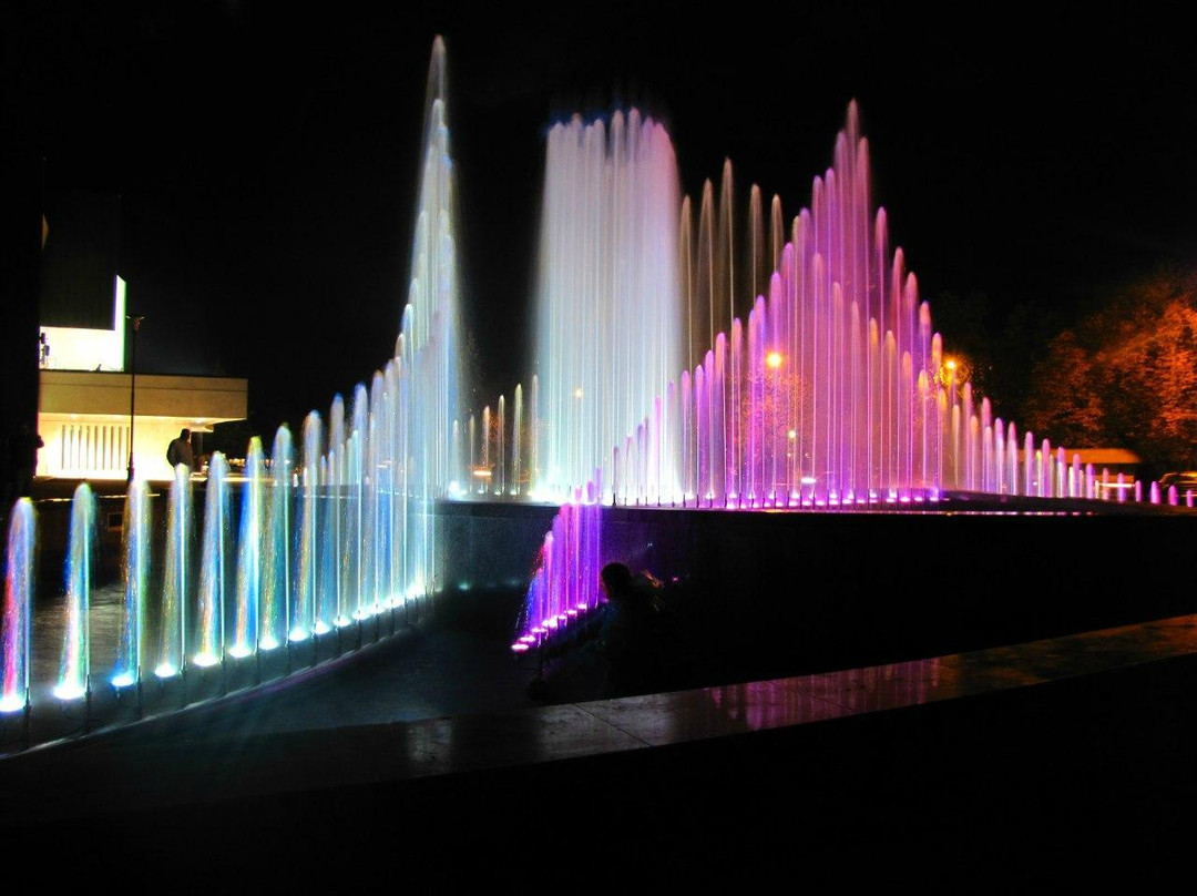Music and Light Fountain-Cherkasy必去景点