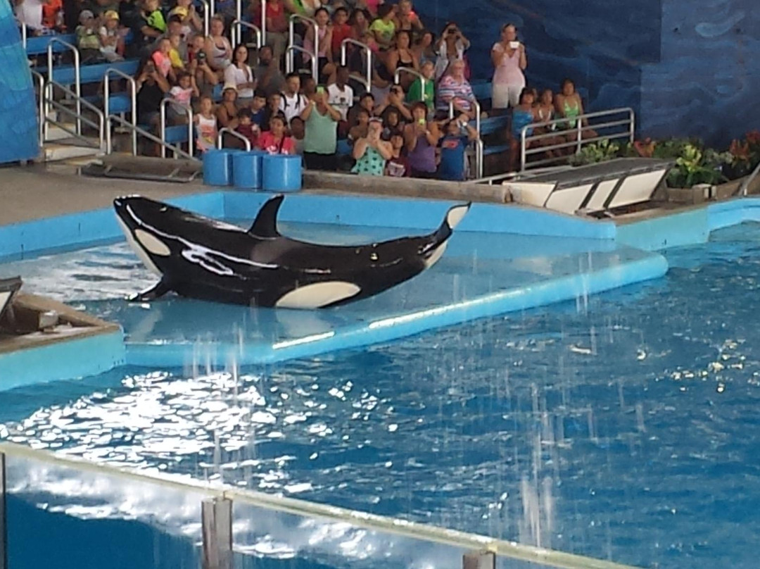 圣安东尼奥海洋世界-圣安东尼奥市必去景点