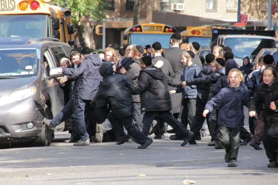 Tours by Frieda-布鲁克林必去景点