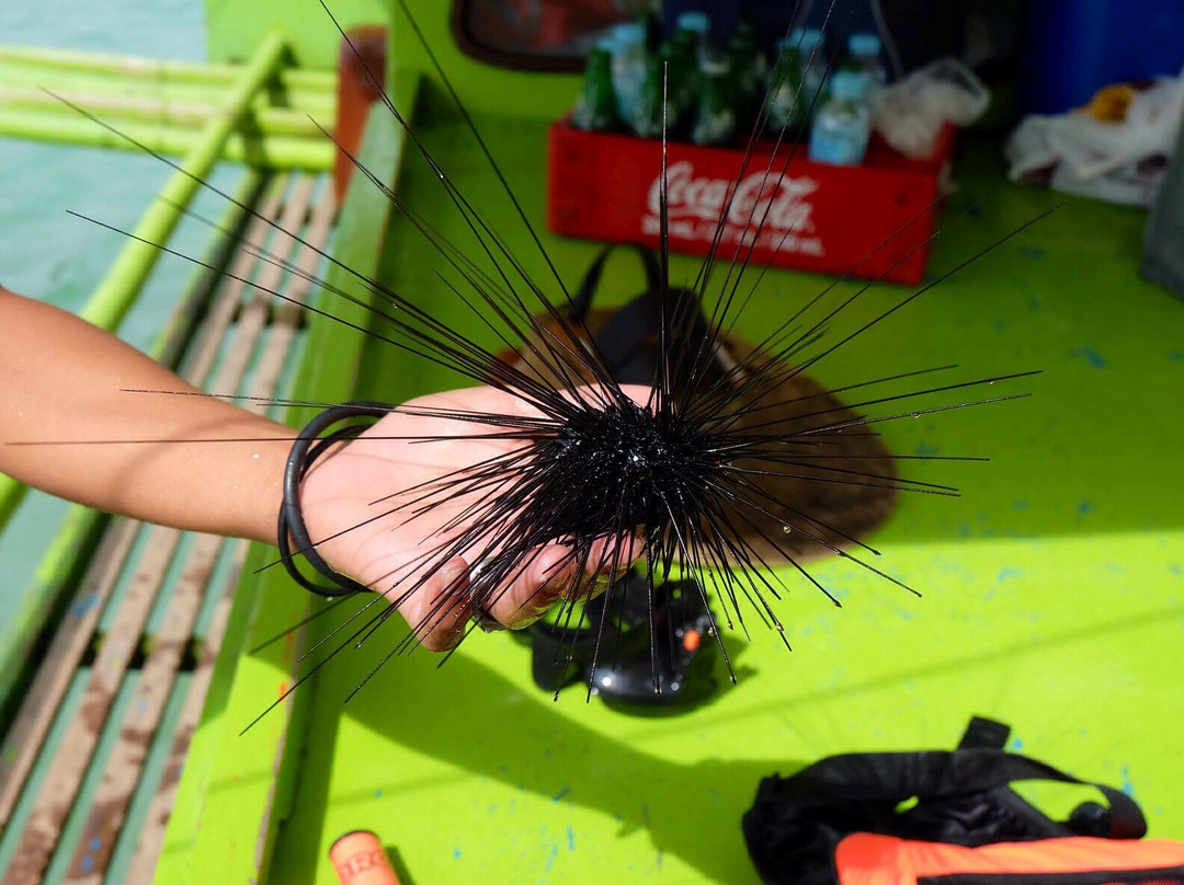 Atwayan Beach-科隆必去景点