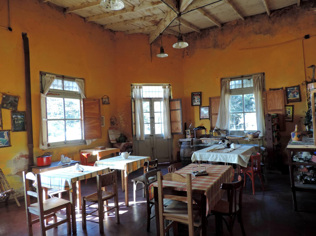 Azul餐馆和美食-El Viejo Almacen