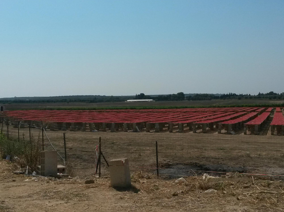 Icontadini-乌真托必去景点