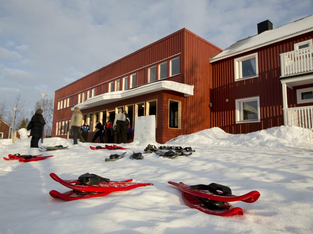 Davvi Arctic Star