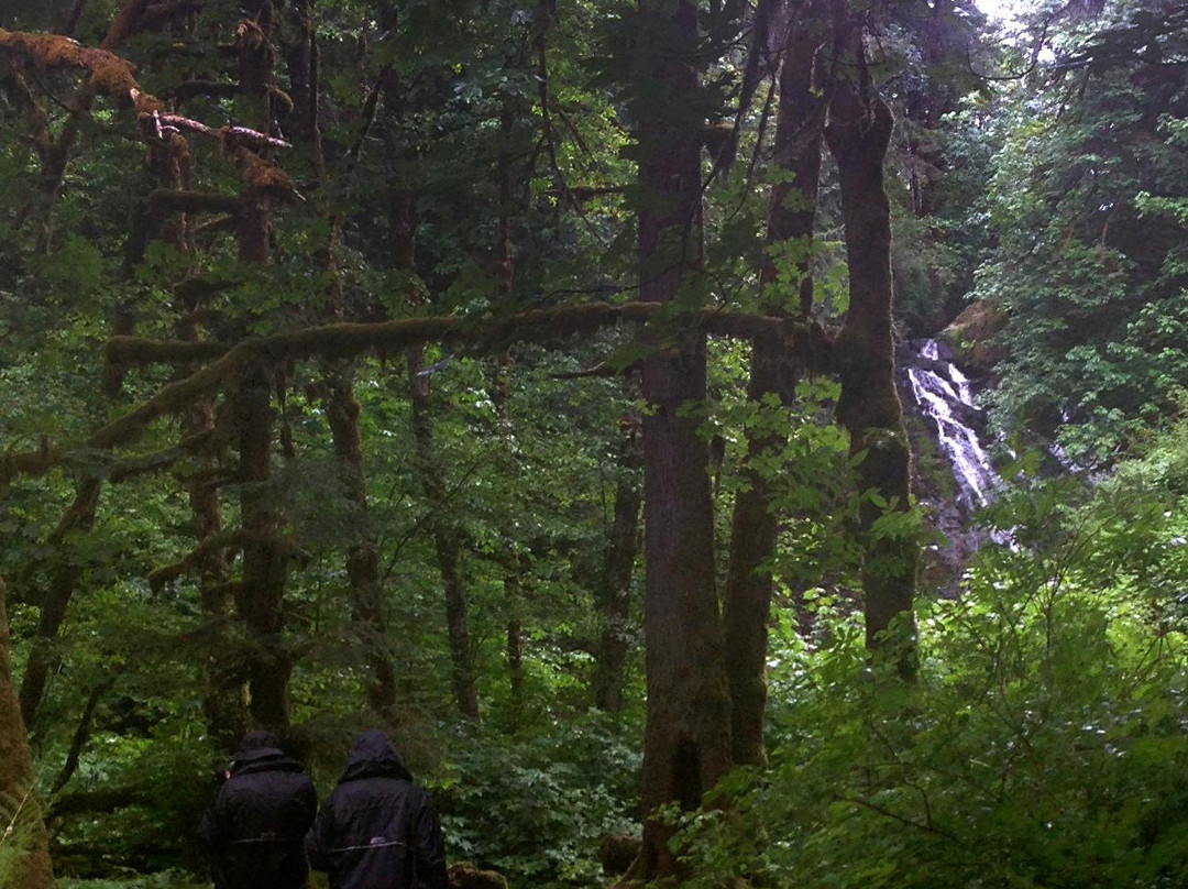 Lee Wooden Fishhawk Falls County Park-锡赛德必去景点