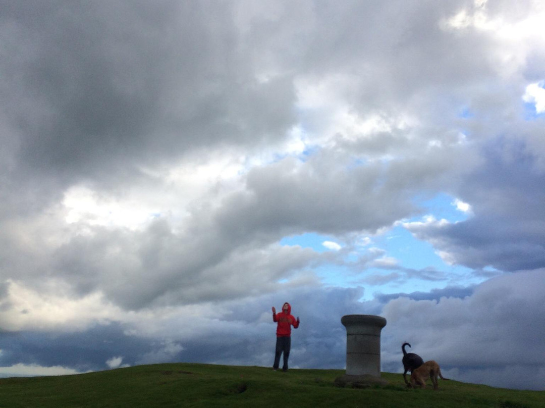 Lomond Hills-Falkland必去景点