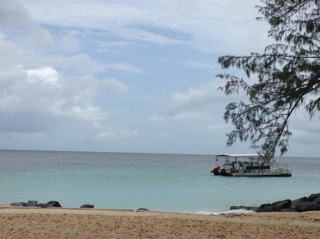Folkestone Marine Park & Visitor Centre-Holetown必去景点