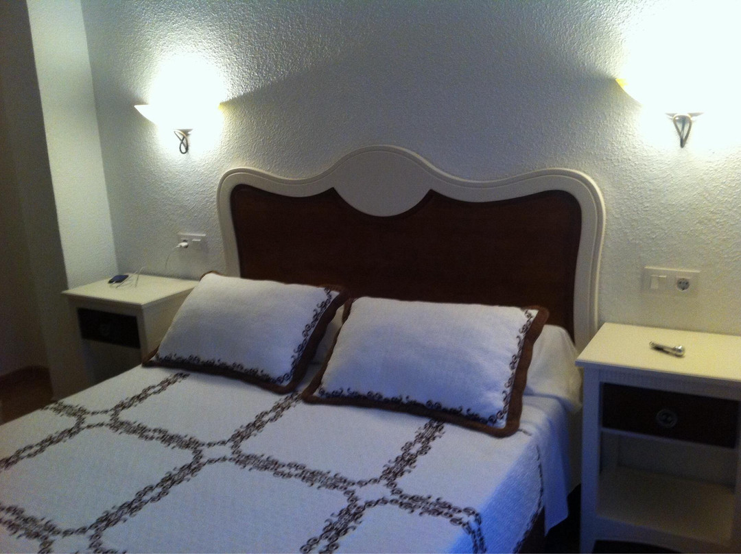 Hostal Las Palmeras主图