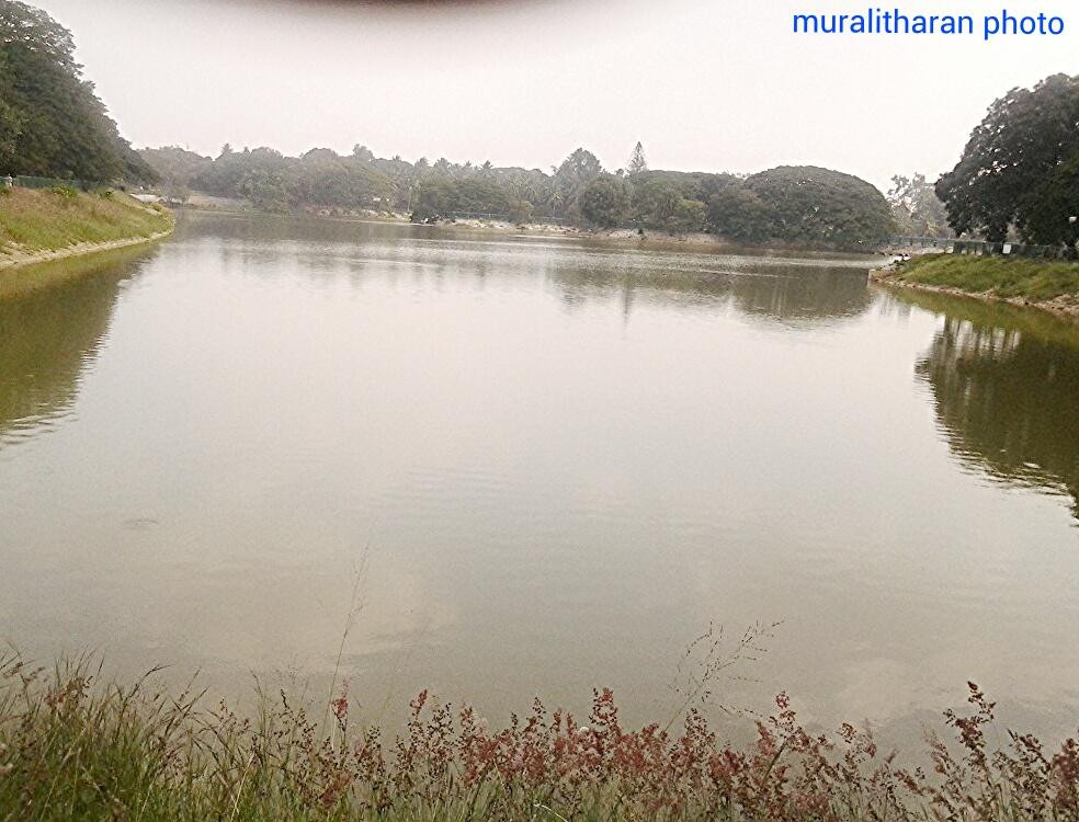 Lalbagh Botanical Garden景点图片