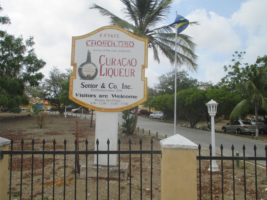 Curacao Liqueur Distillery-威廉斯塔德必去景点