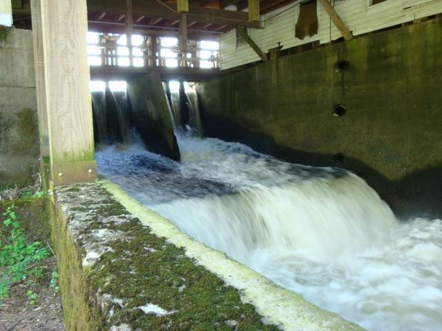 Thompson's Mill State Heritage Site-Shedd必去景点