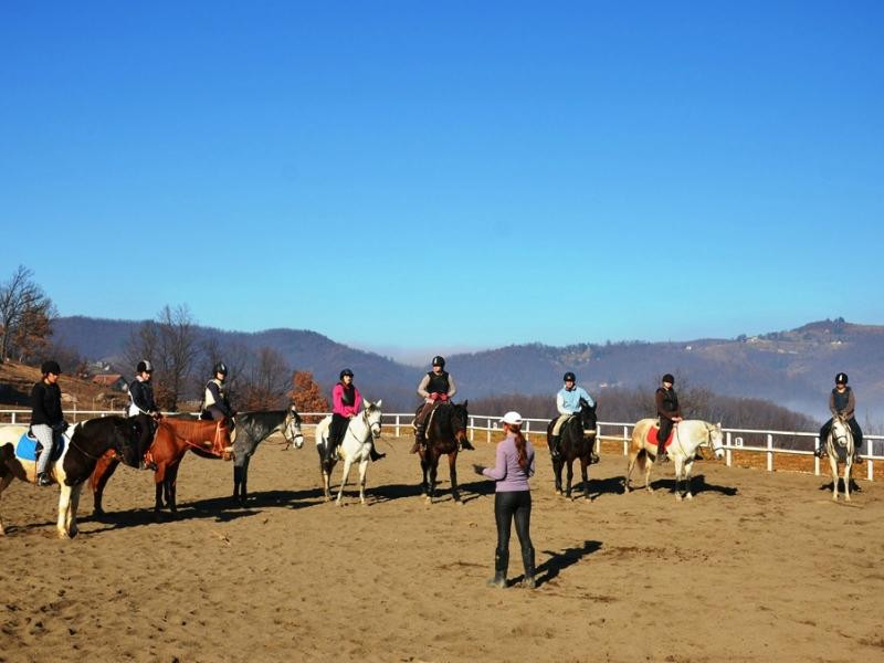 Equestrian & Recreation Centre Pegasos景点图片