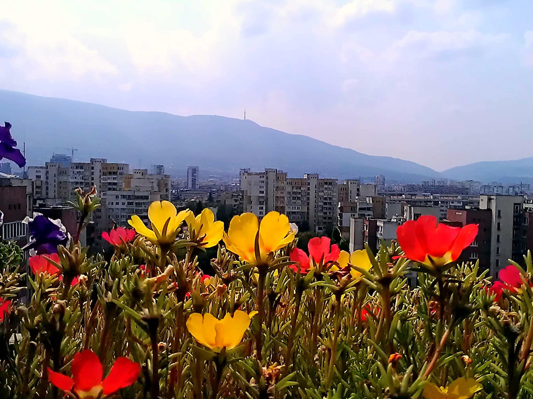 Vitosha Mountain-索非亚必去景点