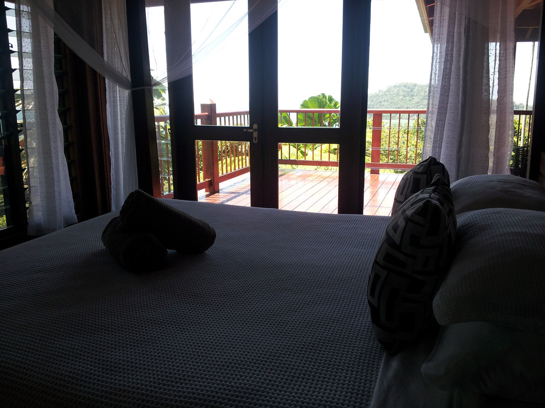 Cape Tribulation Sanctuary主图