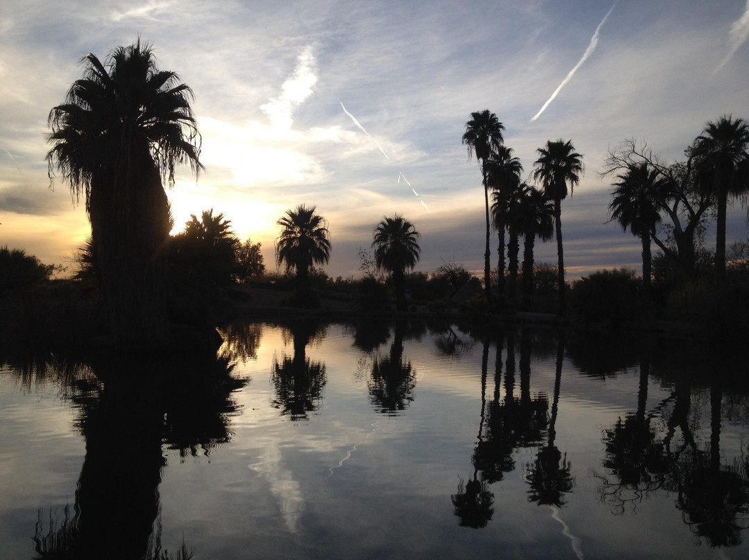 巴巴哥公园-凤凰城必去景点