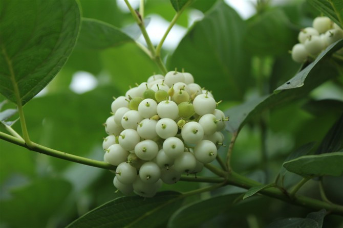 绿博园-郑州市必去景点