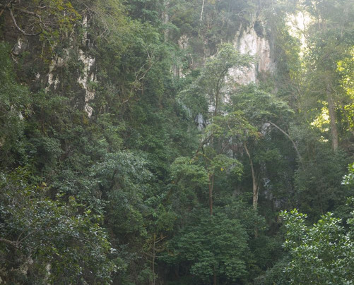 Paddle Asia - Private Custom Kayak Tours-普吉镇必去景点