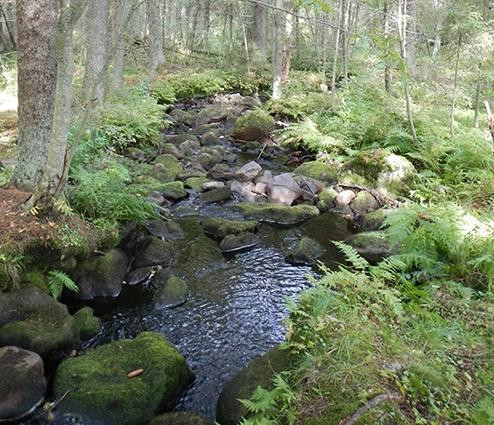 Aurinko Ilves Trail-Asikkala必去景点