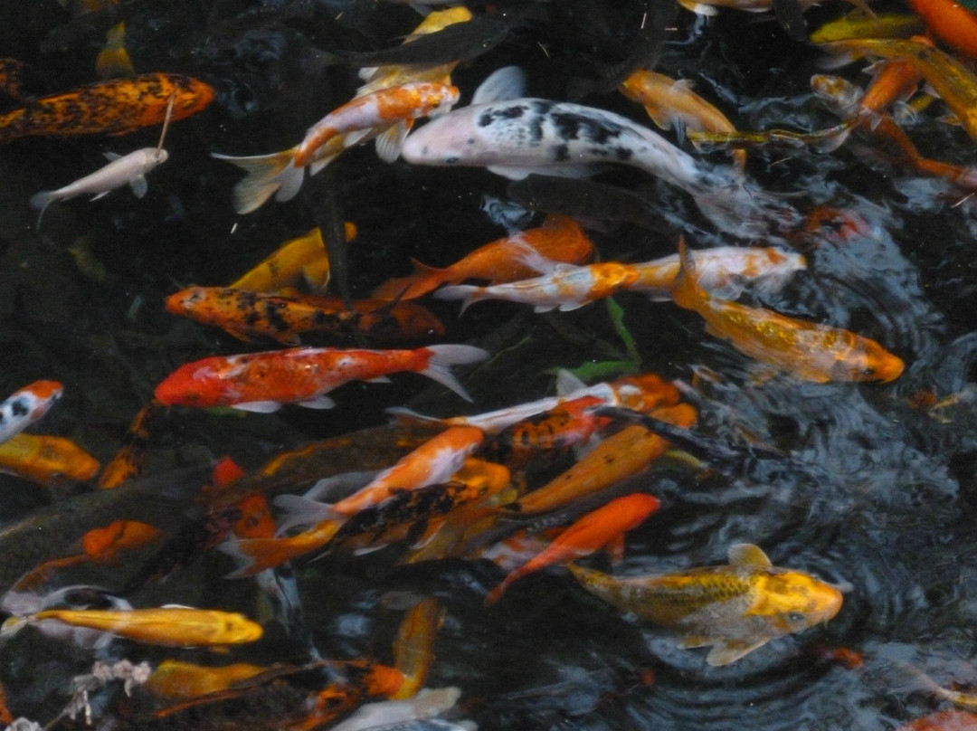 Rizal Re-Creation Center-圣巴勃罗必去景点