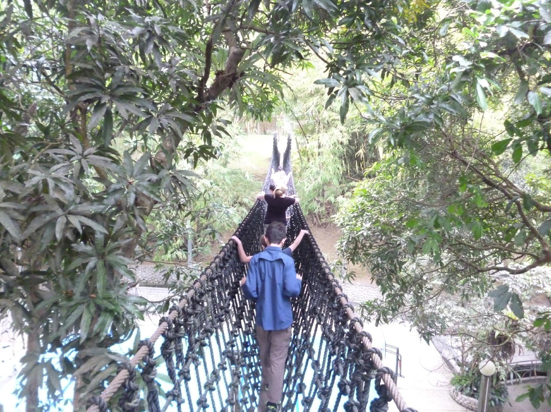 Rizal Re-Creation Center-圣巴勃罗必去景点