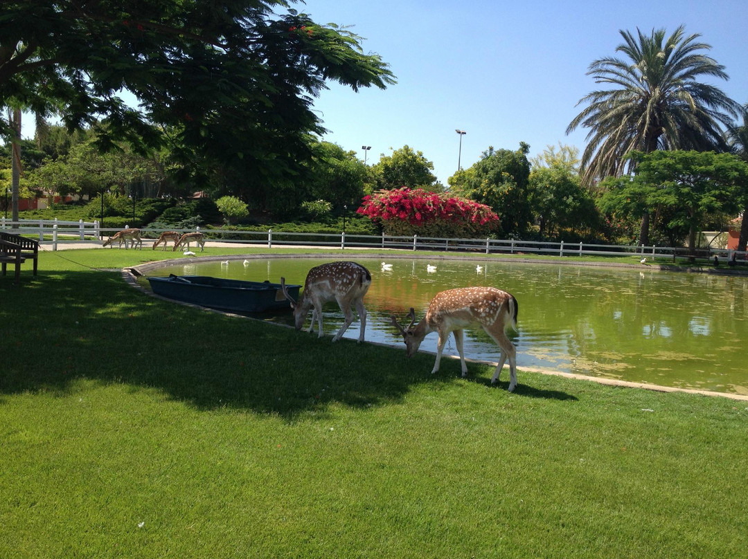 Qana酒店住宿-Al-Yasmine Guesthouse