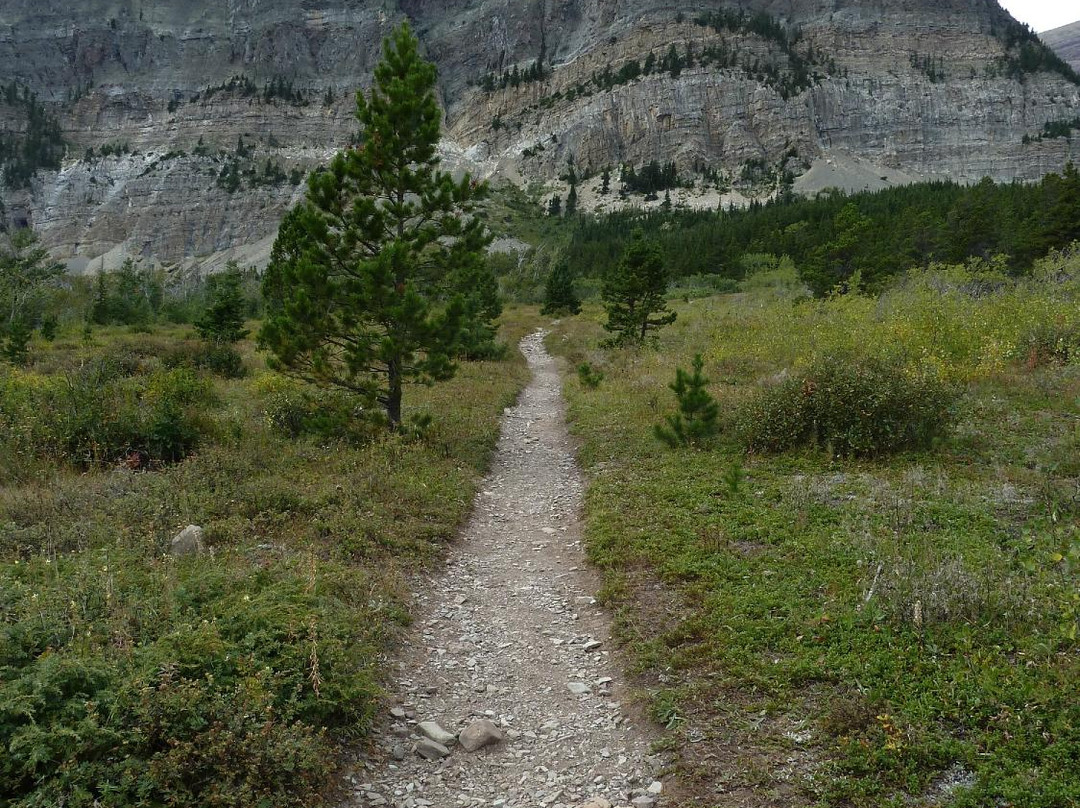 Apikuni Falls-冰河国家公园必去景点