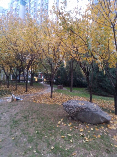 丰庆公园-西安市必去景点