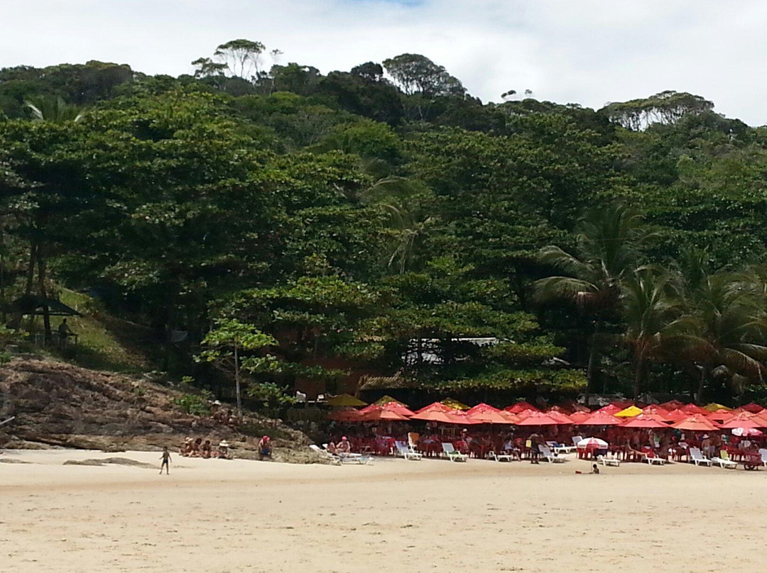 Ribeira Beach-Itacare必去景点
