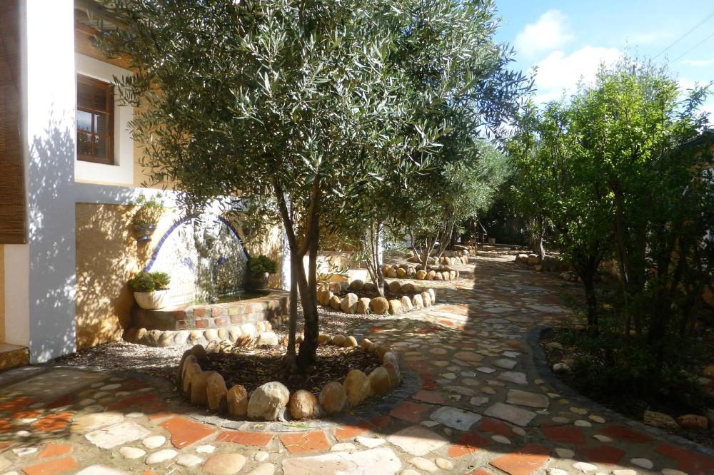 Casa Liefling-酒店景观