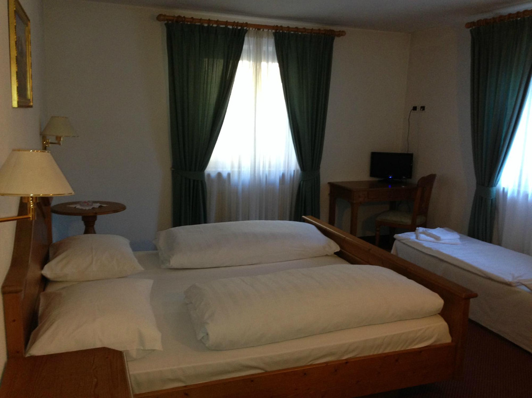 Campo di Trens酒店住宿-Hotel Larch