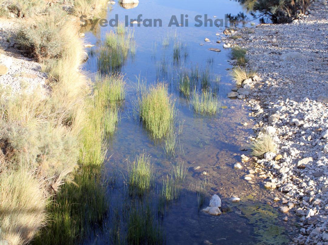 Rani Kot Fort-Jamshoro District必去景点