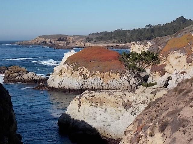 China Cove-卡梅尔必去景点