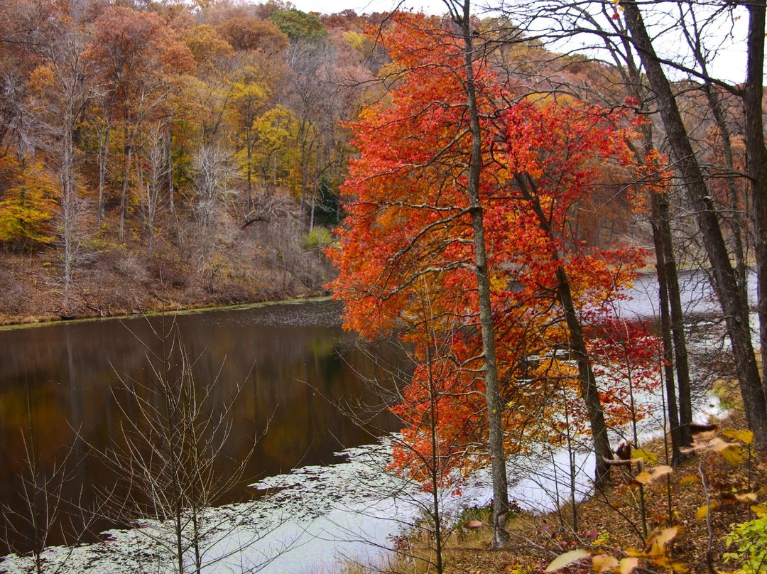 McArthur旅游攻略图片