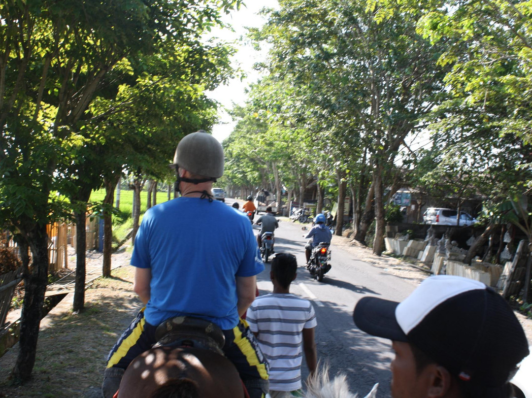 Kuda P Stables-达巴南必去景点