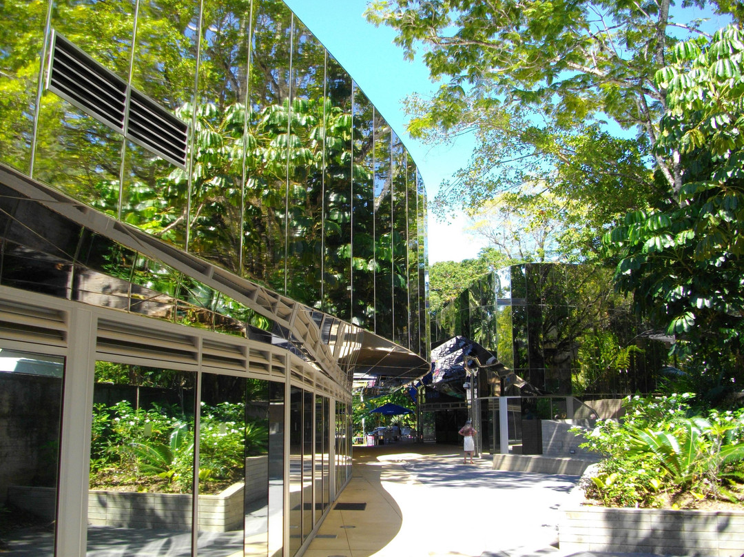 凯恩斯植物园-凯恩斯必去景点