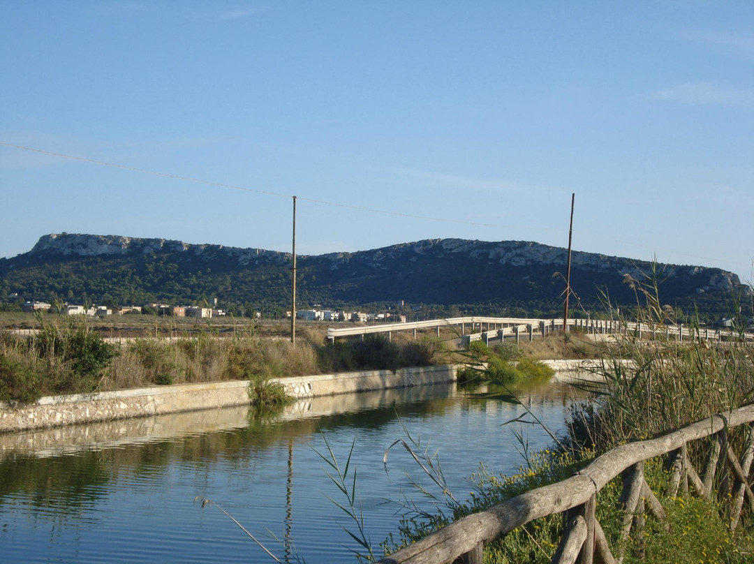 Parco Naturale Molentargius-Saline-卡利亚里省必去景点