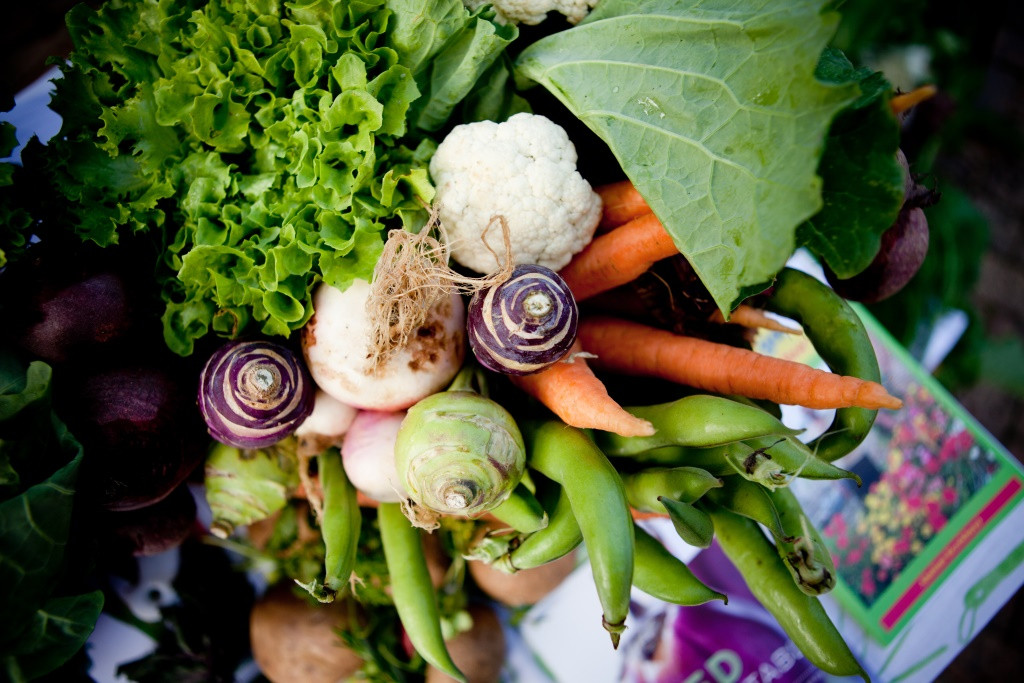 Bellville旅游景点-Slow Market Willowbridge