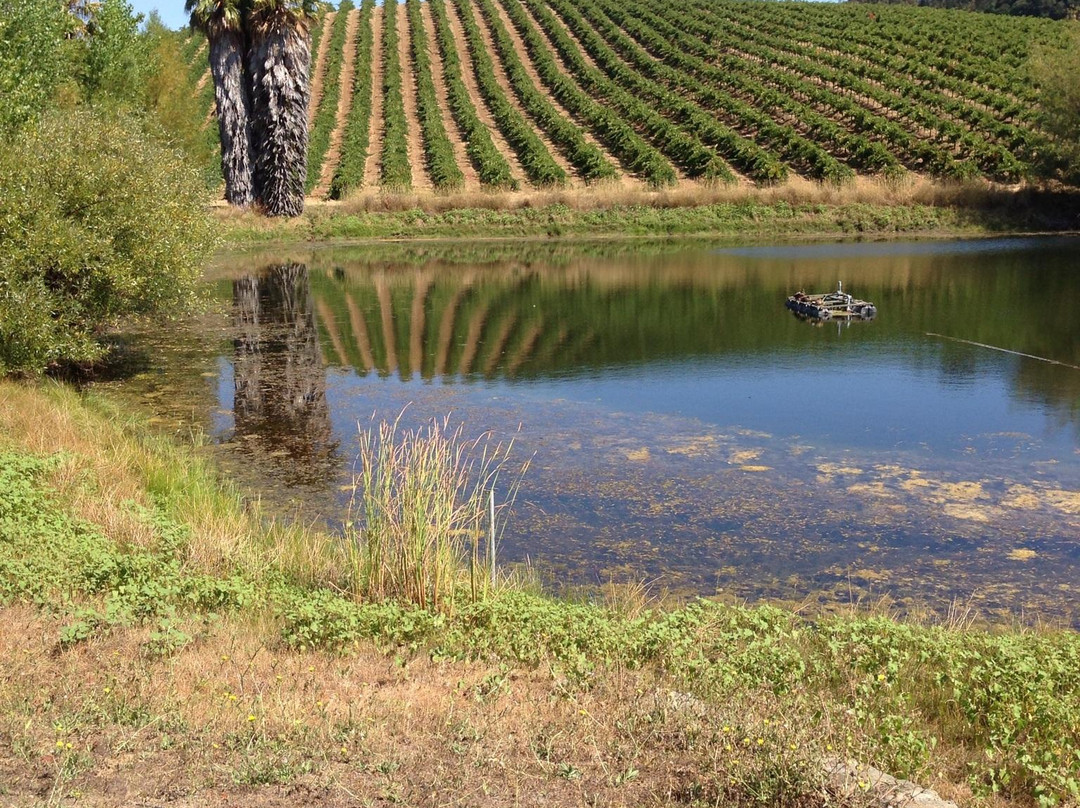 Beau Wine Tours景点图片